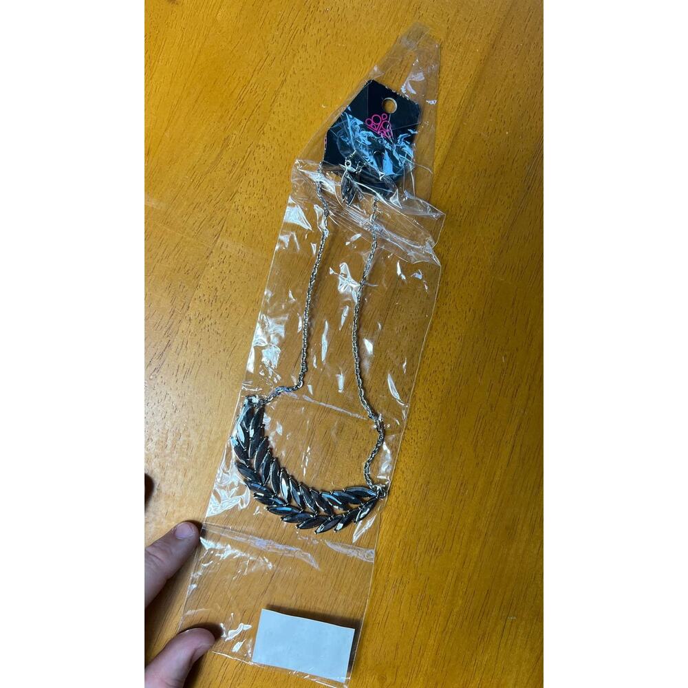 NWT Paparazzi Silver and gray necklace and earring set